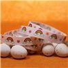 Order  Easter Ribbon - Rainbow